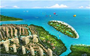 “金發(fā)御海天下”